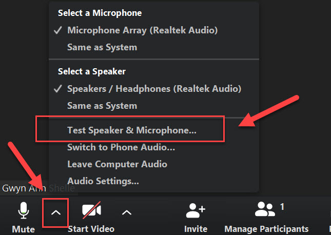 Screenshot of Zoom Audio options